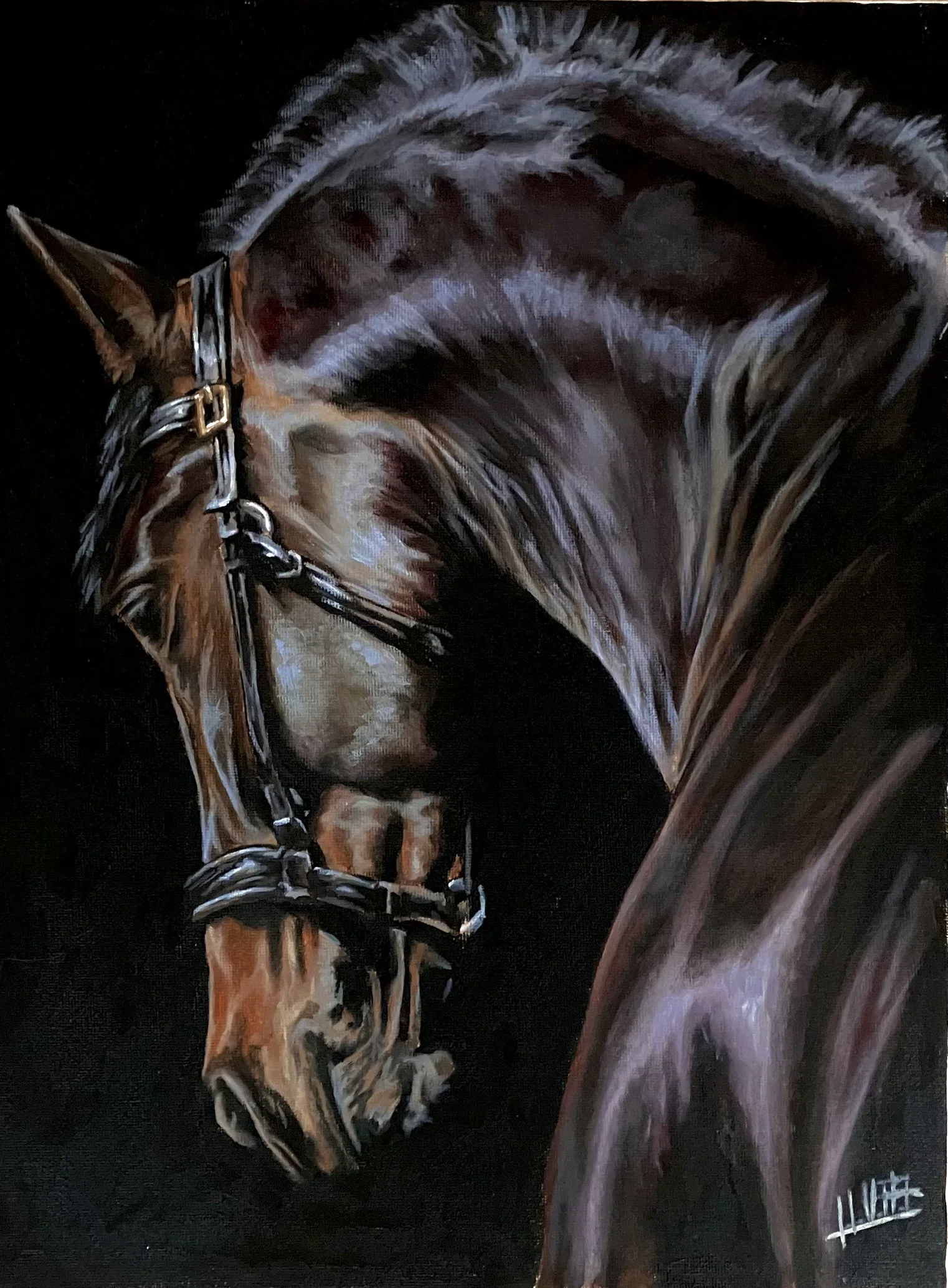 Indigo, an acrylic horse portrait by Jose Urdiales